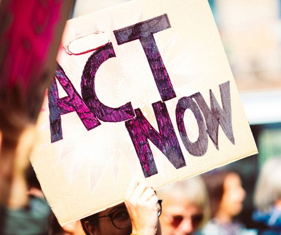 The Integrator Why Every CEO Needs One